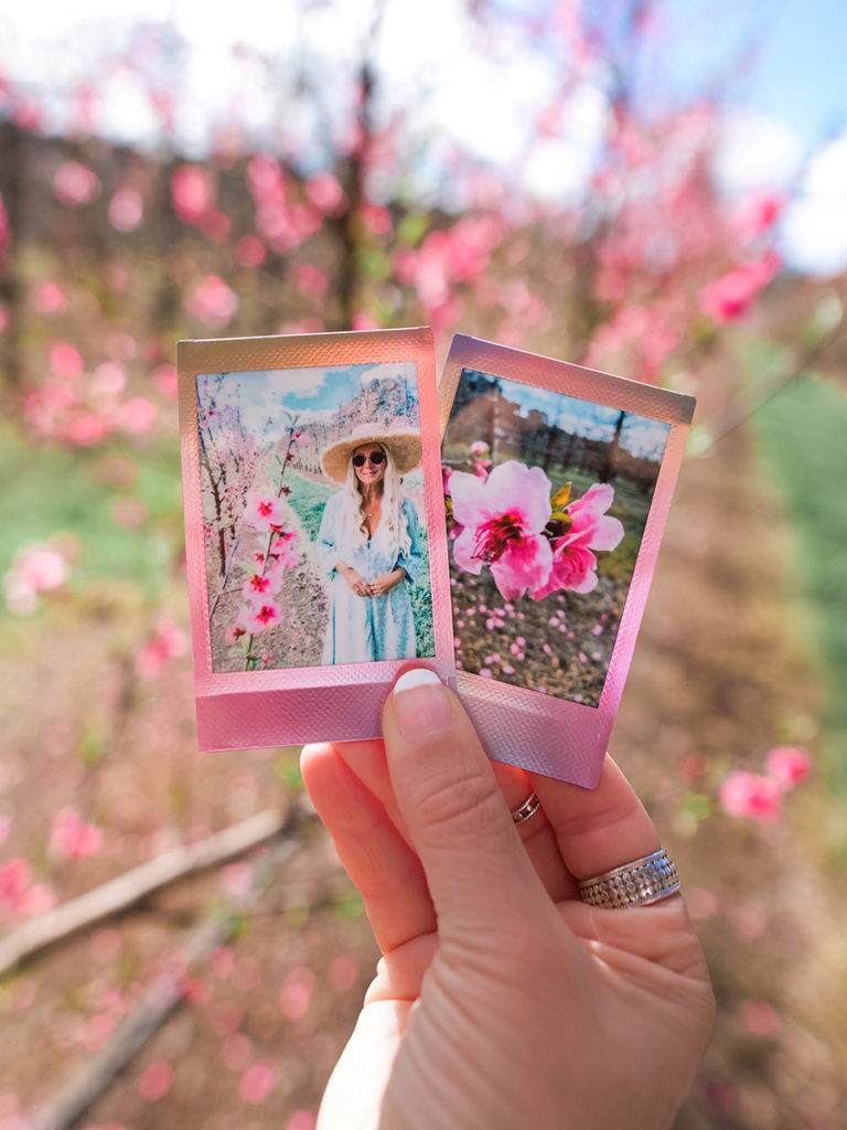 How to create Instagram worthy snaps with your instax